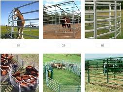 Cattle Rail/Panel/Gate System