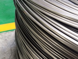 Stainless Steel Wire